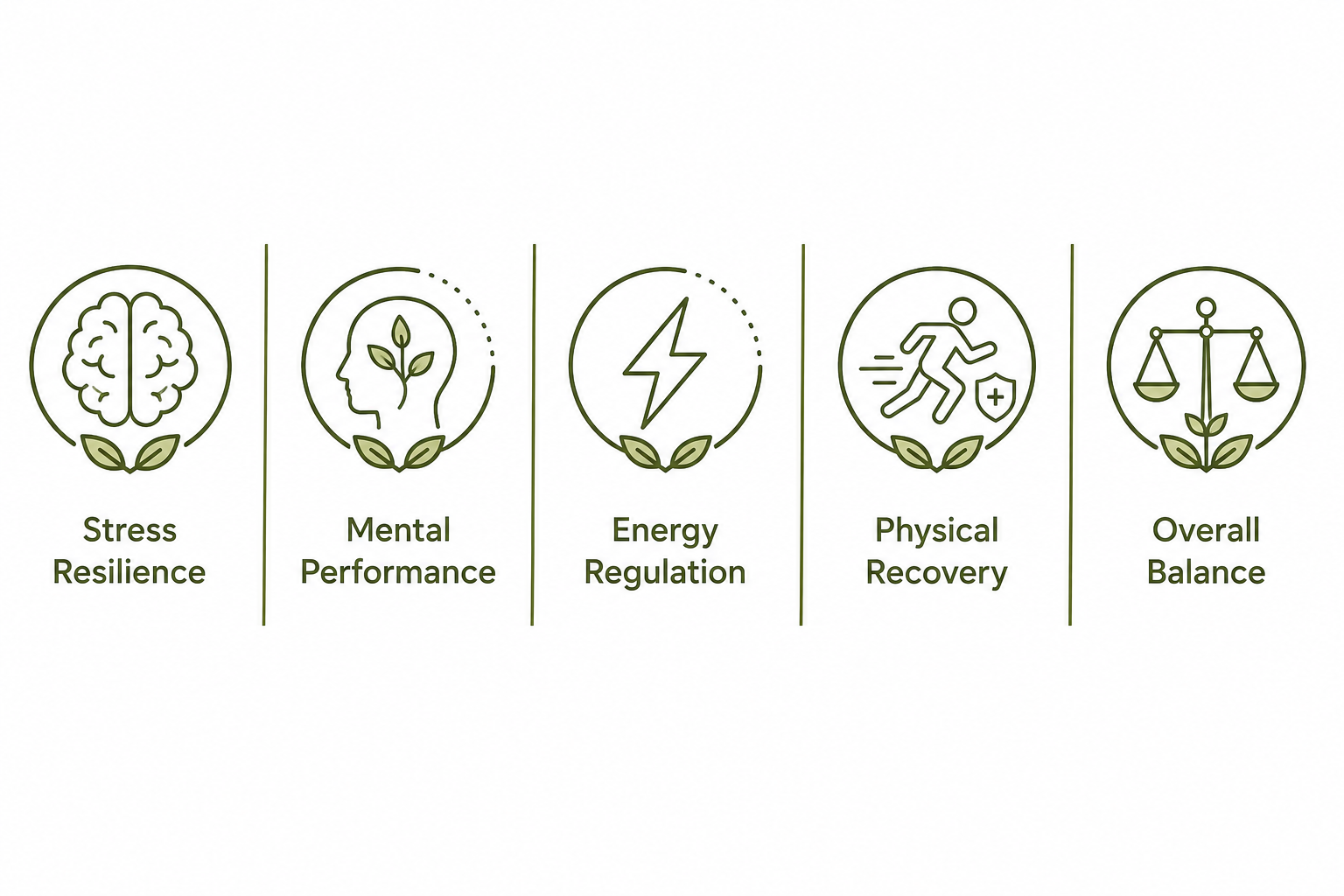 Understanding the HPA Axis: The Body’s Stress Response System