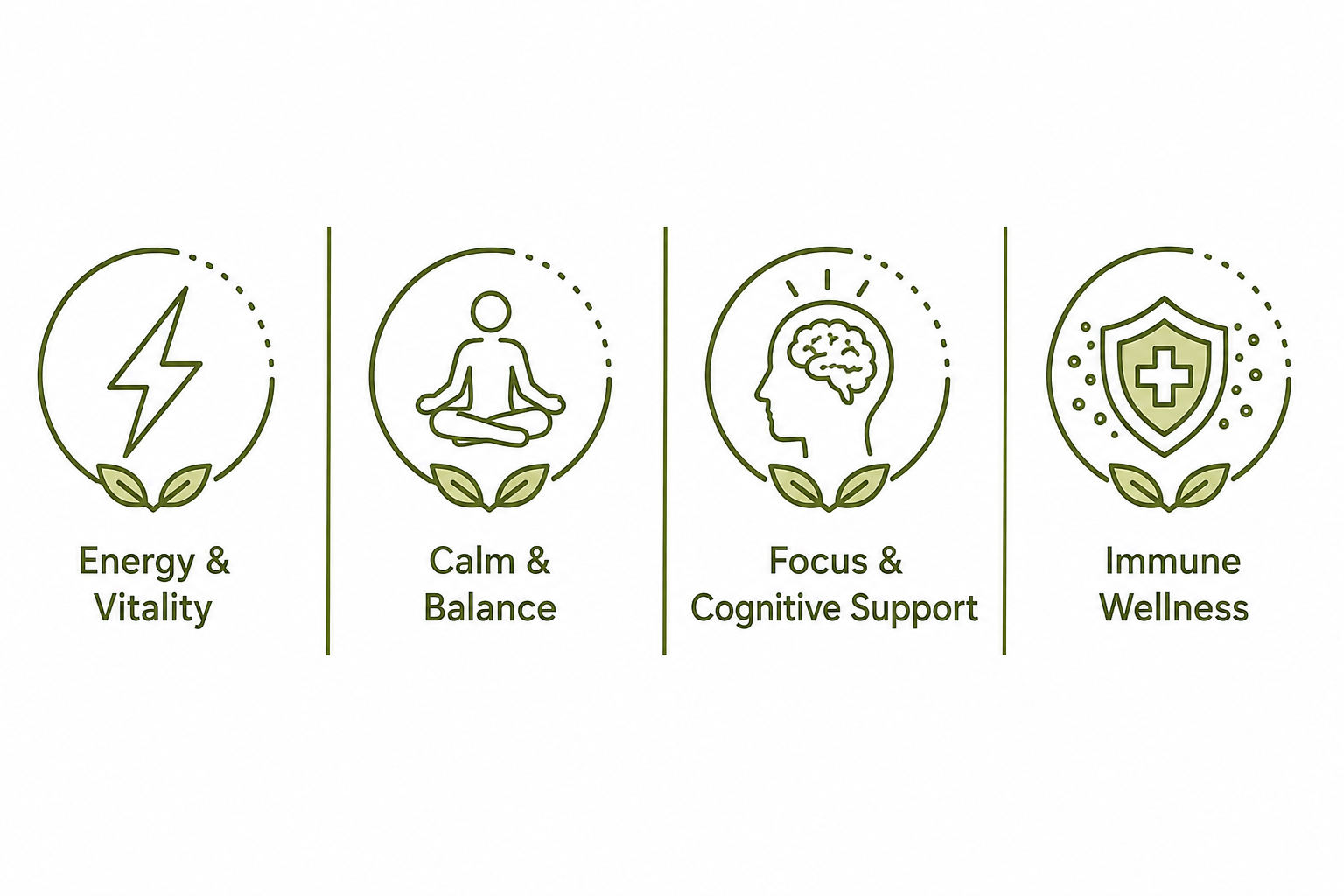 Wellness icons showing energy calm focus and immune wellness